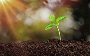 sustainable-and-responsible-finance-290x180